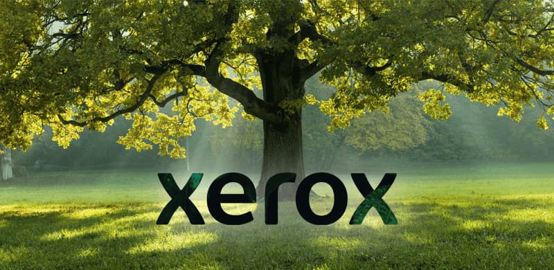MAV XEROX TOP 100 entreprises citoyennes SOLUDOC